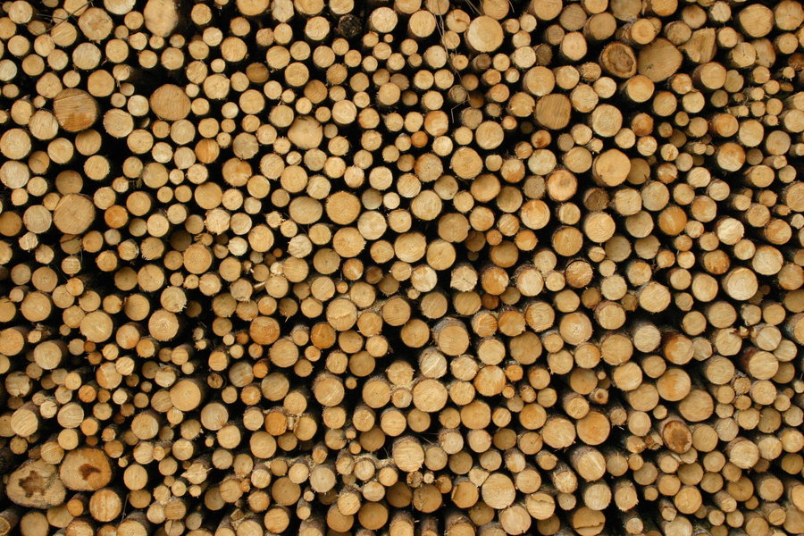 wood_pile_118518_by_stockproject1-d35z2fh